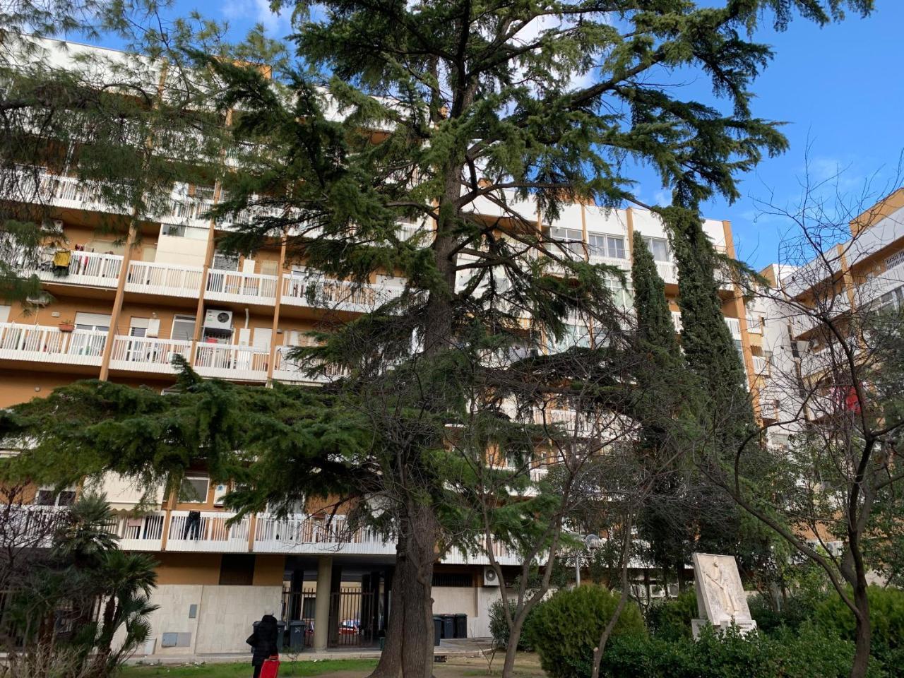 Agora B&B Urban Relais Canosa di Puglia Exteriör bild